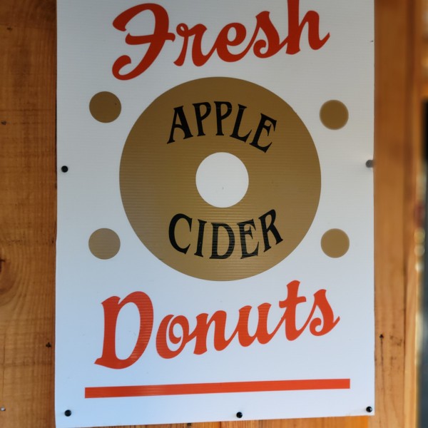 Fresh apple cider doughnuts